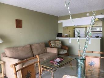 Condo 315