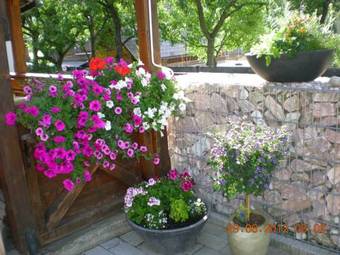 Hostal Landgasthof W�hrer