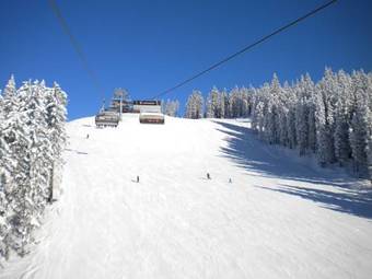 Aparthotel Apparthotel Steiner