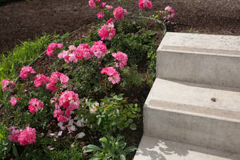 Apartamento Appartements Oswald