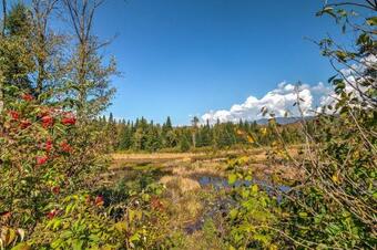 Trailside Luxury Twin Mountain Cabin On 5 Acres!