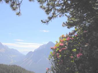 Apartamento Haus Nordtirol