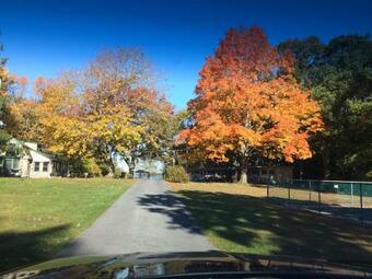 Fair Wind Motel And Cottages