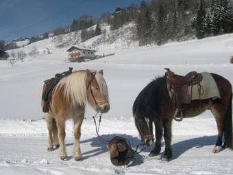 Apartamento Ferienhaus Yera