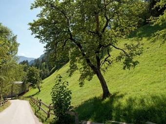 Apartment Waidachhaus Ramsau