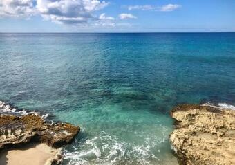 Hotel The Waves At Cane Bay