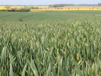 Elegant Apartment In Warnkenhagen With Furnished Terrace