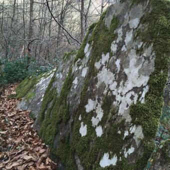 Villa Complejo Rural Casona De Labrada