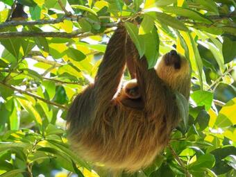 Hotel The Hummingbird