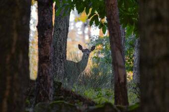 La Casa Di Gloria - Residence B&B