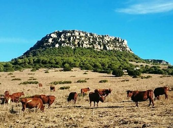 House With 2 Bedrooms In El Chaparral, With Wonderful Sea View, Enclosed Garden And Wifi - 2 Km From The Beach
