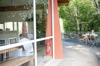 Ver fotos