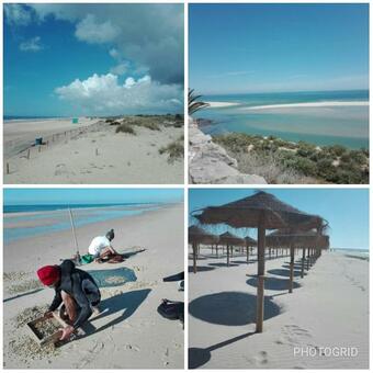 Ver fotos
