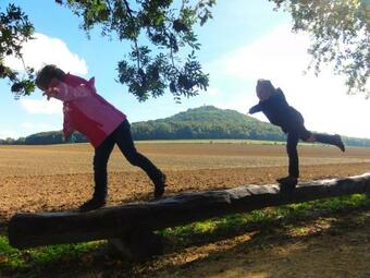 Apartamento Ferienwohnungen Am Stadtpark G�rlitz