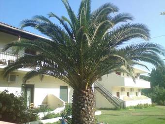 Apartamento Dream House