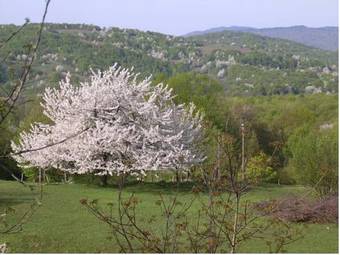 Hostal Guest House Jandric