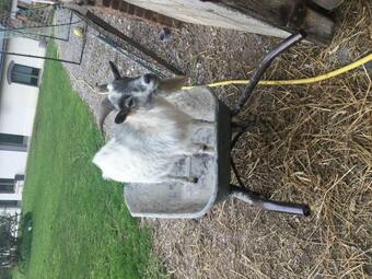 La Maison Du Bonheur "le Gite"