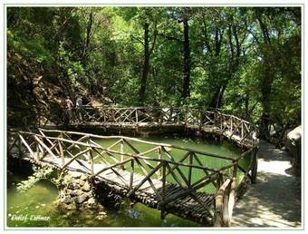 Marika's Apart's & Studios