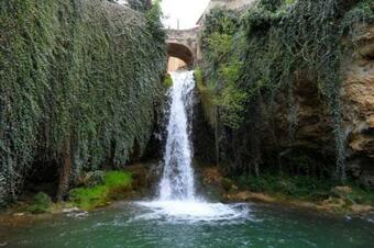 Apartamento La Palmera II Junto A Fr�as