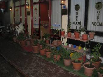 Hostal Hotel Necmi