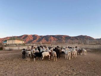 Tashtanbay Ata Guest House