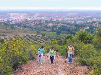 Casa Rural El Pinche