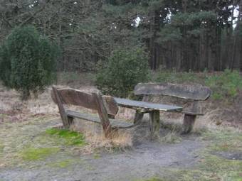 Beautiful Chalet With Swimming Pool In Stegeren