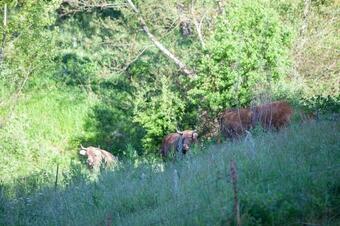 Apartamento La Majada De Pe�acorada