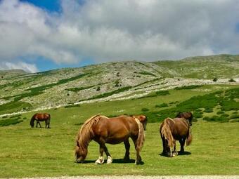 Agroturismo Etxaburu