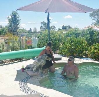 Must Love Dogs B&B & Self Contained Cottage