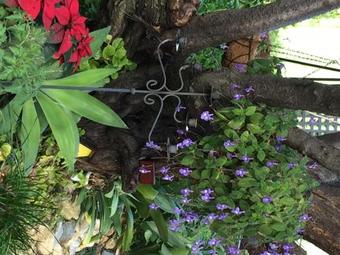 Bed & Breakfast In Perth