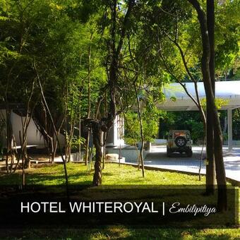 Hotel Whiteroyal