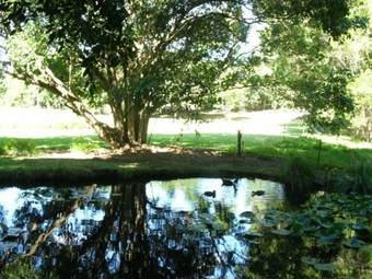 Lilyponds Holiday Park