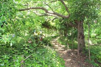 Bed & Breakfast Storey Grange