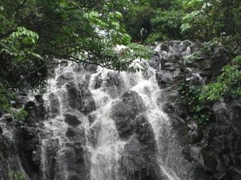 Kookaburra Lodge Motel