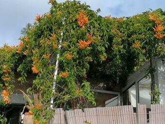 Ver fotos