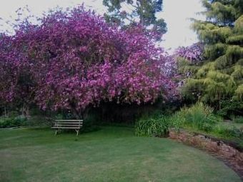 Bed & Breakfast The Lodge Country House