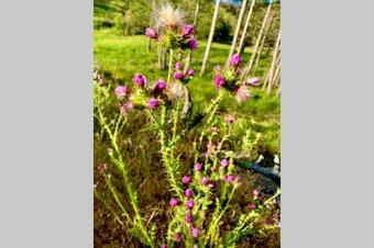 Apartamento Alojamiento Rural Casa Tatisita Suite