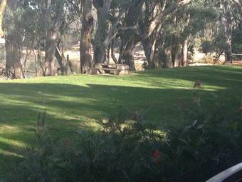 Hotel Deeluxe Riverspa Apartments