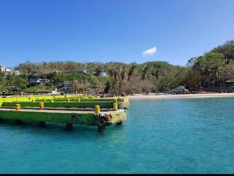 Tropical House