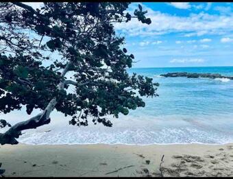 Paradise Oasis At Oceanpointe