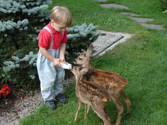 Ferienhof Unterf�hrholzergut