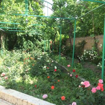 Hostal Eco-resort Lorret