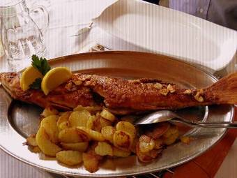 Hostal Gasthof Haselberger