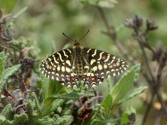 Agroturismo Casa De Campo Ecol�gica En Sierra De Monesterio Siquem
