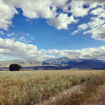 Vut Me Quedo En El Pueblo