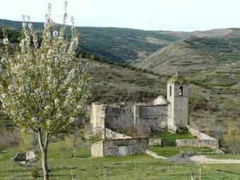 Agroturismo La Colmena