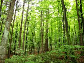 Kr�merwirt Hotel-gasthof