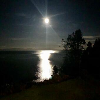 Hostal Ocean Pearl Guest Suite