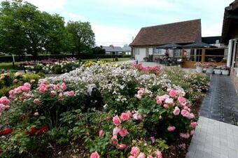 B&B La Rozerie